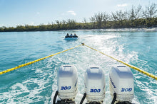 Load image into Gallery viewer, AIRHEAD Tow Harness, Self Centering Pulley, 12 ft.