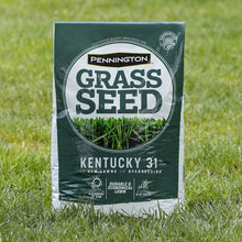 Load image into Gallery viewer, Pennington Kentucky 31 Tall Fescue Grass Seed, 20 Pounds