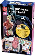 Load image into Gallery viewer, EDU-TOYS Elenco 10&quot; Human Anatomy A.R. Bulding Model Kit