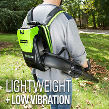 Load image into Gallery viewer, Greenworks 24V