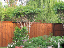 Load image into Gallery viewer, Ready Seal Exterior Stain and Sealer for Wood