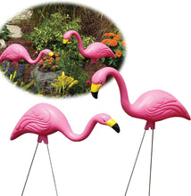 Load image into Gallery viewer, Bloem Flamingo