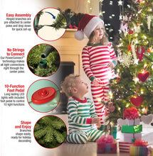 Load image into Gallery viewer, National Tree Company