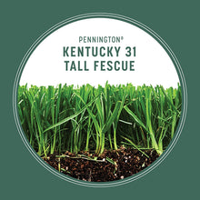 Load image into Gallery viewer, Pennington Kentucky 31 Tall Fescue Grass Seed, 20 Pounds