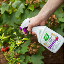 Load image into Gallery viewer, Garden Safe Brand Insecticidal Soap Insect Killer, Ready-to-Use, 24-Ounce