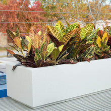 Load image into Gallery viewer, PolyStone Riviera Short Modern Outdoor/Indoor Rectangular Planter, Lightweight, Heavy Duty, Weather Resistant, Polymer Finish, Commercial Grade and Residential, 46" L x 17" W x 12" H
