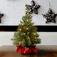 Load image into Gallery viewer, National Tree Company
