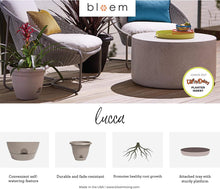 Load image into Gallery viewer, Bloem, Chocolate Lucca Self Watering Planter, 16&quot;, (LP1645)