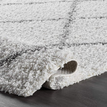 Load image into Gallery viewer, nuLOOM Trellis Cozy Soft &amp; Plush Shag Rug