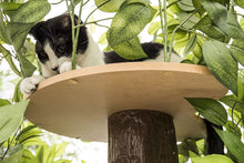 Load image into Gallery viewer, On2Pets Cat Condo Furniture, Tree House Tower for Climbing, Playing, Scratching, and Relaxing