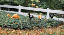 Load image into Gallery viewer, Bloem Spooky Flamingo Halloween Outdoor