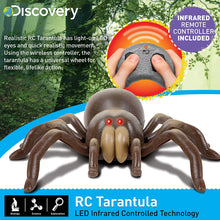 Load image into Gallery viewer, Discovery Kids RC Animal