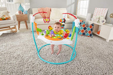 Load image into Gallery viewer, Fisher-Price Color Climbers Jumperoo