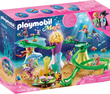 Load image into Gallery viewer, Playmobil Toy