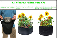 Load image into Gallery viewer, Viagrow Fabric Pots with Handles