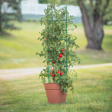 Load image into Gallery viewer, YARDGARD Gardener's Blue Ribbon 3-Pack Ultomato Tomato Plant Cage