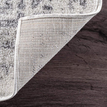Load image into Gallery viewer, nuLOOM Arlena Vintage Area Rug