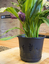 Load image into Gallery viewer, Bloem Series