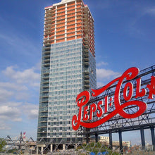 Load image into Gallery viewer, BOEN Debris Safety Netting Orange 4&#39; X 150&#39; Fire Retardant