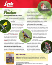 Load image into Gallery viewer, Lyric Finch Small Songbird