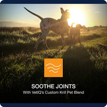 Load image into Gallery viewer, VETIQ Maximum Strength Hip and Joint Supplement for Dogs, Chicken Flavored Soft Chews
