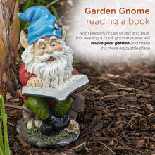 Load image into Gallery viewer, Alpine Gnome Reading a Book Statue, 14 Inch Tall
