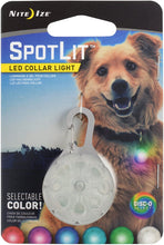 Load image into Gallery viewer, Nite Ize SpotLit Clip-On LED Light with Carabiner, Weather Resistant