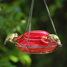Load image into Gallery viewer, Nature's Way Bird Products MHF4 Garden Top Fill Hummingbird Feeder, 16 oz Capacity, Red