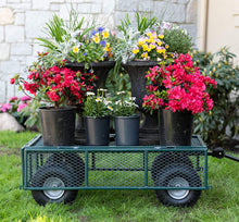 Load image into Gallery viewer, Garden Star 70107 Utility Cart with Sidewalls