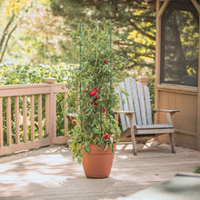 Load image into Gallery viewer, YARDGARD Gardener's Blue Ribbon 3-Pack Ultomato Tomato Plant Cage