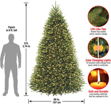 Load image into Gallery viewer, National Tree Company