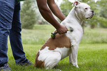 Load image into Gallery viewer, PetWell Dual Point Handheld Massage Roller Pets (Dogs, Cats)