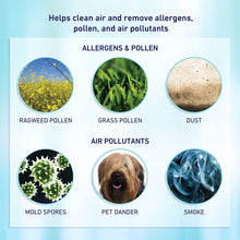 Load image into Gallery viewer, Holmes AER1 Allergen Remover True HEPA Filter