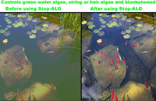 Load image into Gallery viewer, Viagrow Stop-Alg 1 Quart 946ml - Controls Algae Keeps Aquariums &amp; Pond Water Crystal Clear