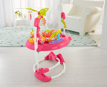 Load image into Gallery viewer, Fisher-Price Jumperoo