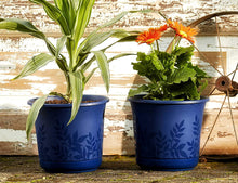 Load image into Gallery viewer, Bloem Series