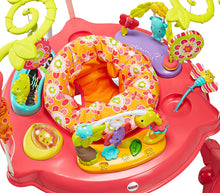 Load image into Gallery viewer, Fisher-Price Jumperoo