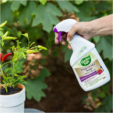 Load image into Gallery viewer, Garden Safe Brand Insecticidal Soap Insect Killer, Ready-to-Use, 24-Ounce