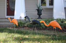 Load image into Gallery viewer, Bloem Spooky Flamingo Halloween Outdoor