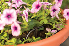 Load image into Gallery viewer, Rain Bird SD24PKSX Drip Irrigation 2-in-1 Staked In-Line Dripper/Emitter, 2 Gallon Per Hour, 4-Pack