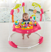 Load image into Gallery viewer, Fisher-Price Jumperoo