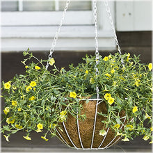 Load image into Gallery viewer, CobraCo White 12-Inch Growers Style Hanging Basket HGB12-W