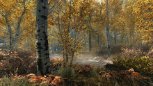 Load image into Gallery viewer, The Elder Scrolls V: Skyrim