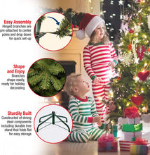 Load image into Gallery viewer, National Tree Company Artificial Christmas Tree
