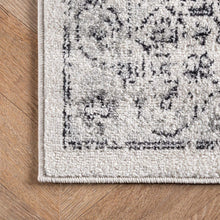 Load image into Gallery viewer, nuLOOM Minta Vintage Area Rug