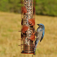 Load image into Gallery viewer, Perky-Pet Squirrel-Be-Gone Cylinder Wild Bird Feeder