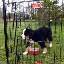 Load image into Gallery viewer, Lucky Dog Modular Pet Play Pen