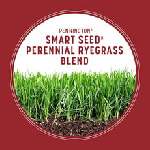 Load image into Gallery viewer, Pennington Smart Seed Perennial Ryegrass and Fertilizer Blend, 3 Pounds