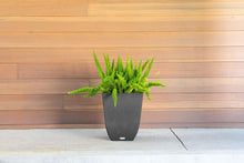 Load image into Gallery viewer, Veradek Sierra Square Garden Planter