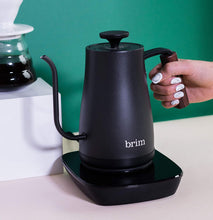 Load image into Gallery viewer, brim Temperature Control Electric Gooseneck Kettle